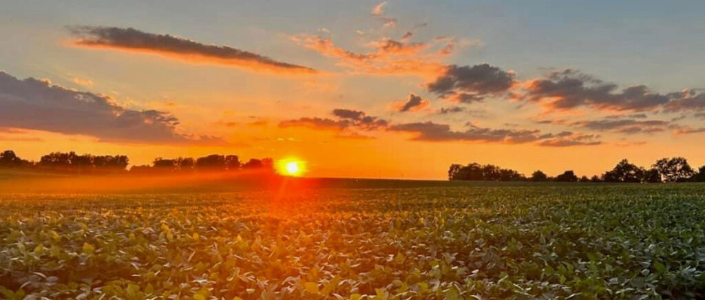 Sunset over a farm field.